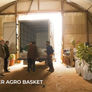 Agro Basket Miniara Tripoli